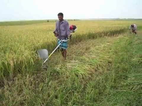 Turner Tools Crop Collector or Paddy Guard