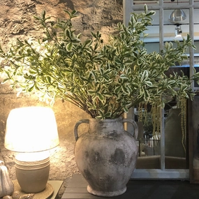 Variegated Ficus Leaf Stem 90cm,dried artificial flower