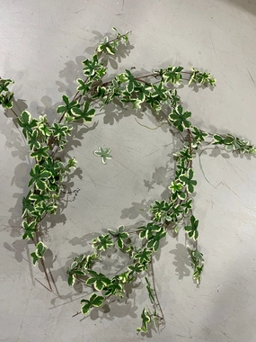 Variegated Green Artificial Flower Ivy leaf Garland wedding greenery 1.8m artificial flower bouquet  