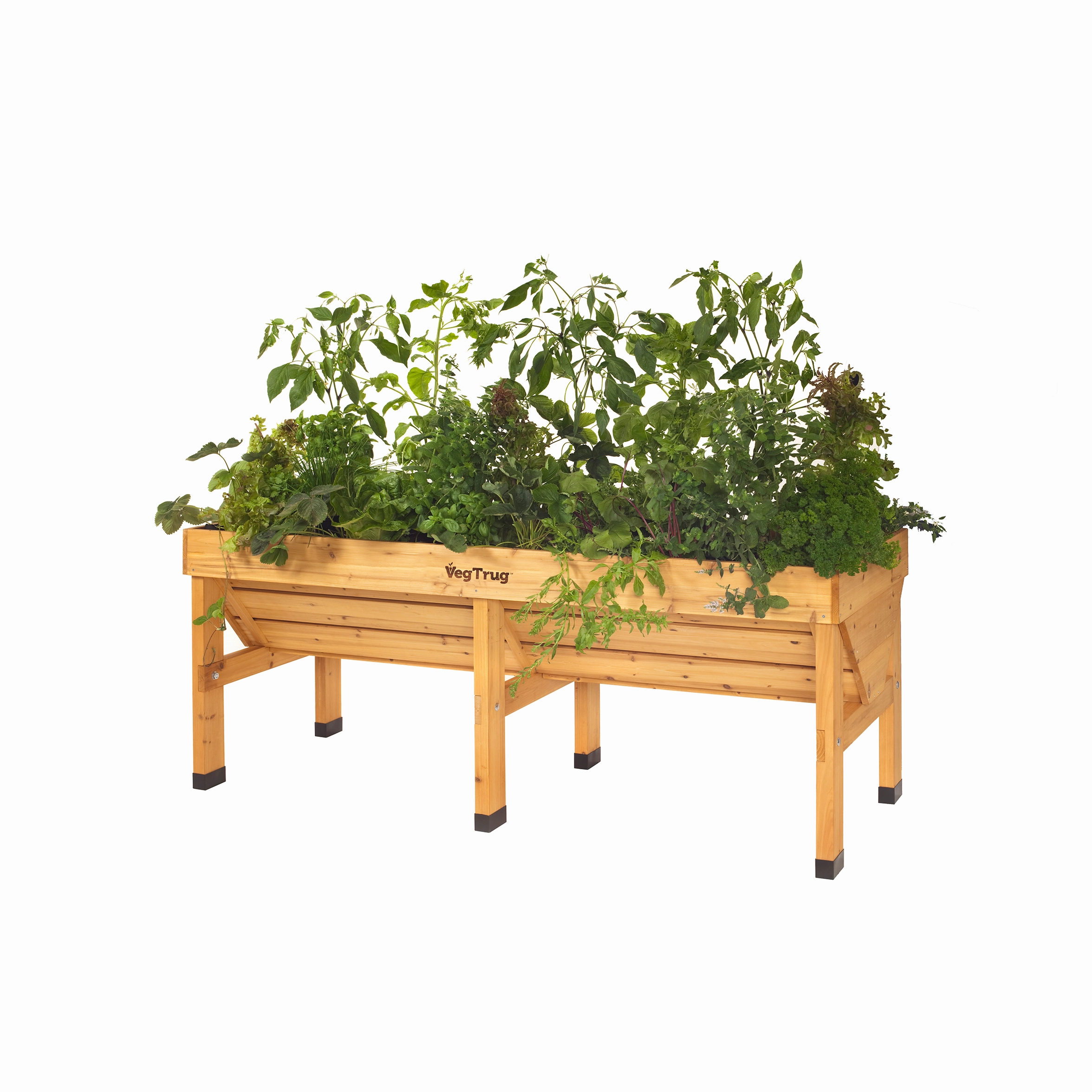 VegTrug Medium Wood Planter