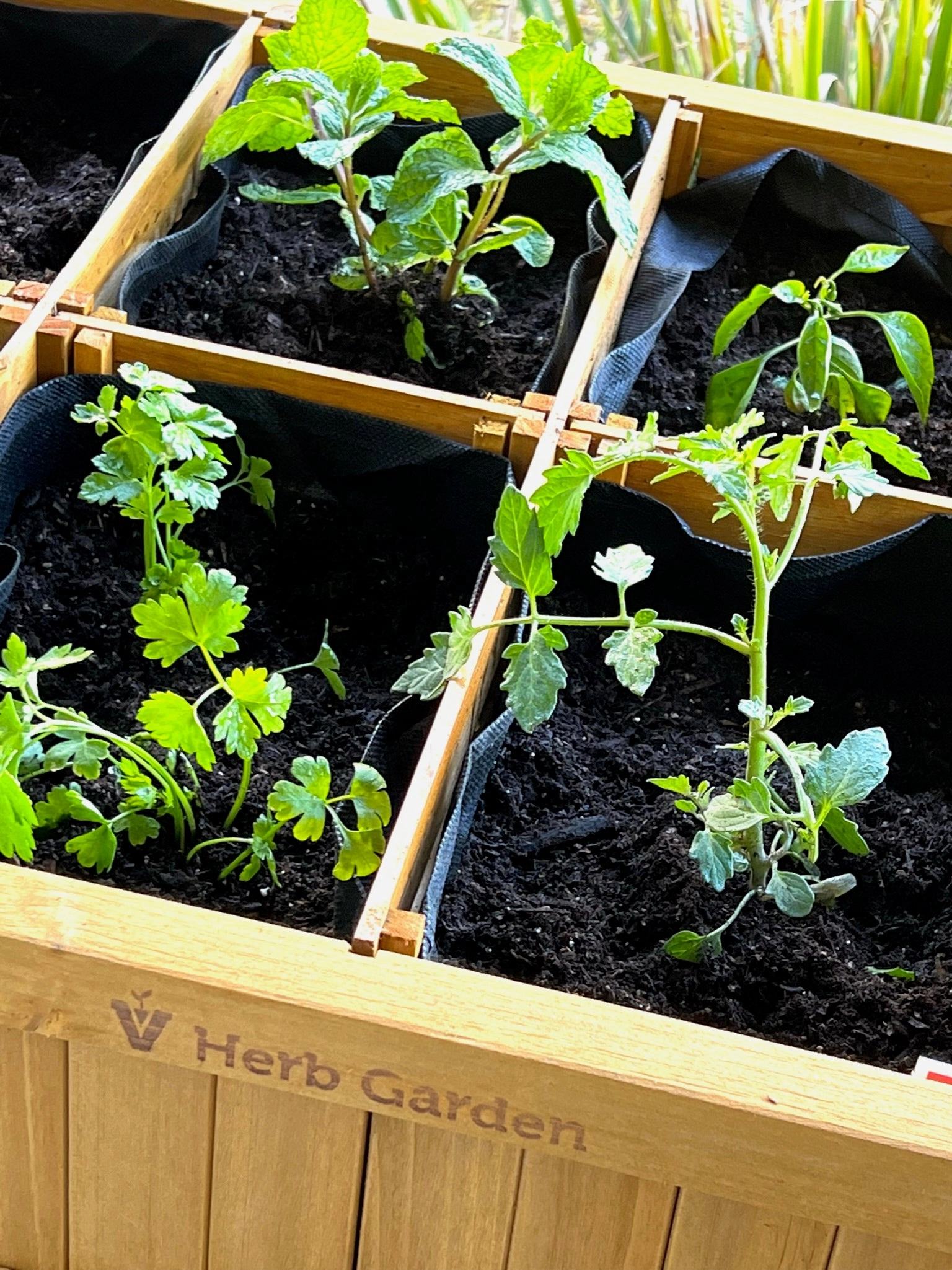 VegTrug Wood Herb Garden Planter