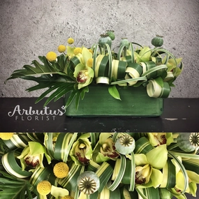 Verdant Tendril,romantic flower gift
