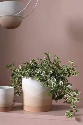 Vesper Pot & Saucer Large,indoor flower container