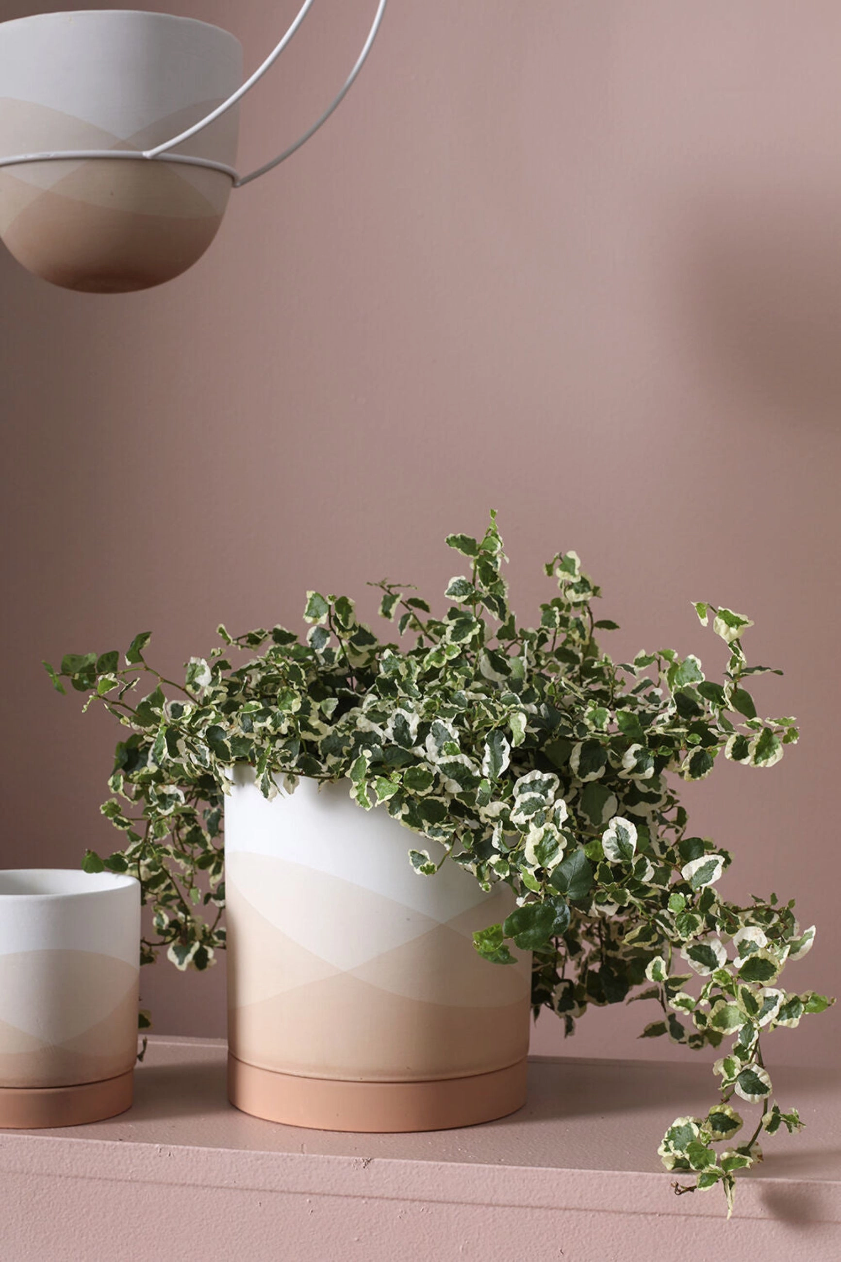 Vesper Pot & Saucer Large,indoor flower container