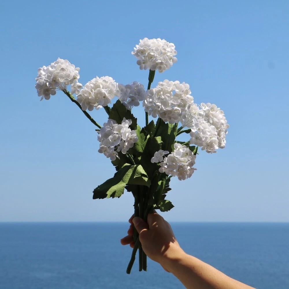 Viburnum en papier blanc