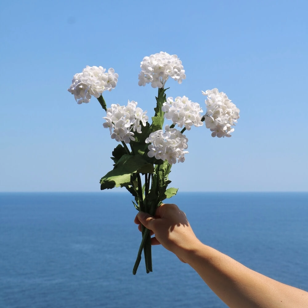 Viburnum en papier blanc