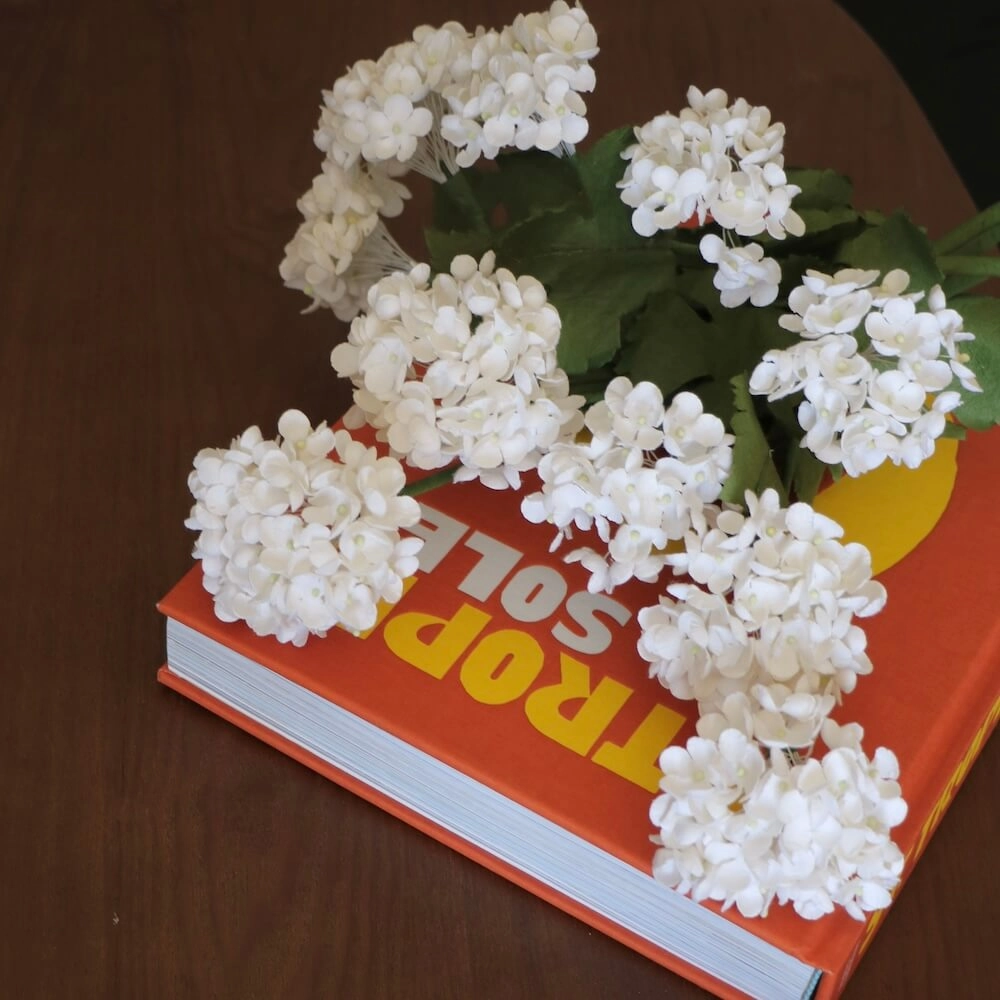 Viburnum en papier blanc