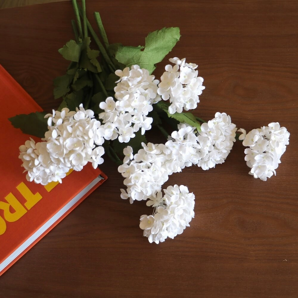 Viburnum en papier blanc
