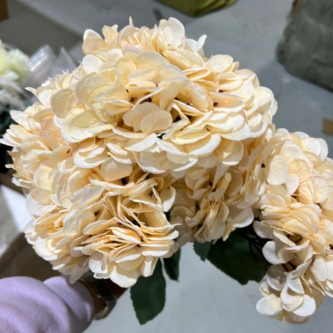 Vintage CHAMPAGNE Hydrangea Bunch new hortensia