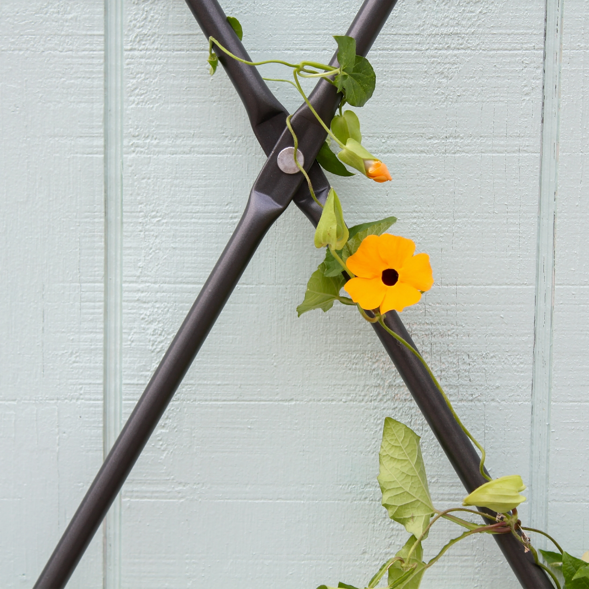 Wall-Mounted Lattice Garden Trellis