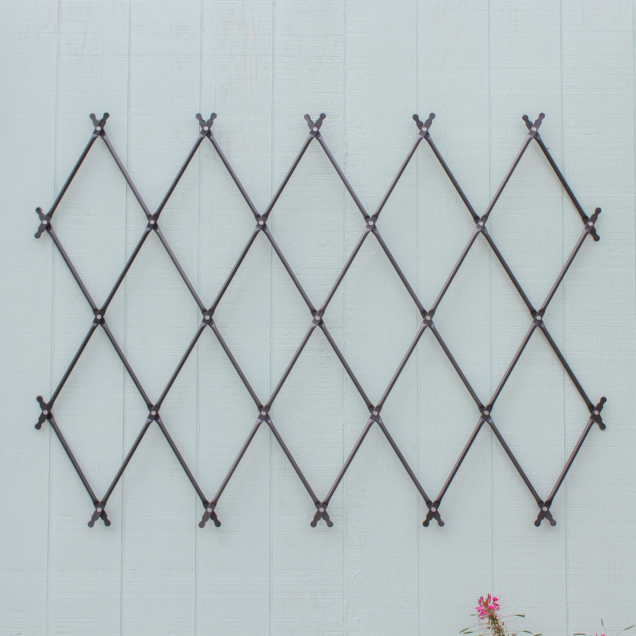 Wall-Mounted Lattice Garden Trellis