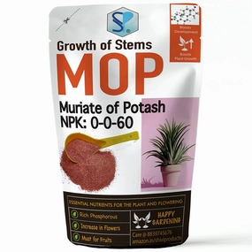 Water Soluble MOP Fertilizer (NPK 46-0-0),potted plant decor