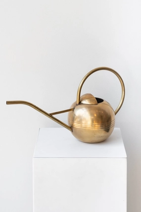 Watering Can Brass,potted plant decor