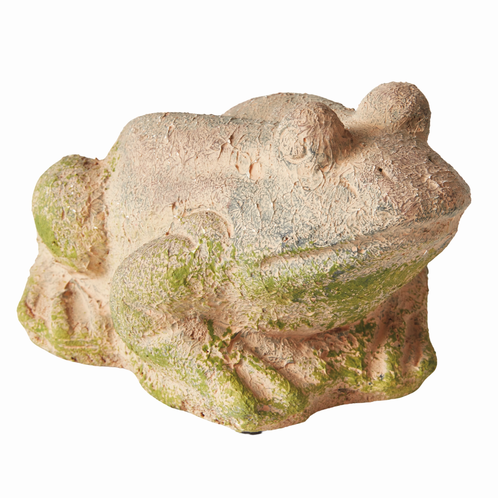 Weathered Garden Frog
