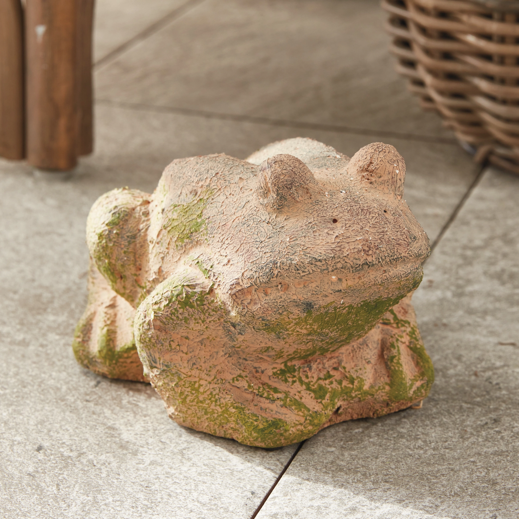 Weathered Garden Frog