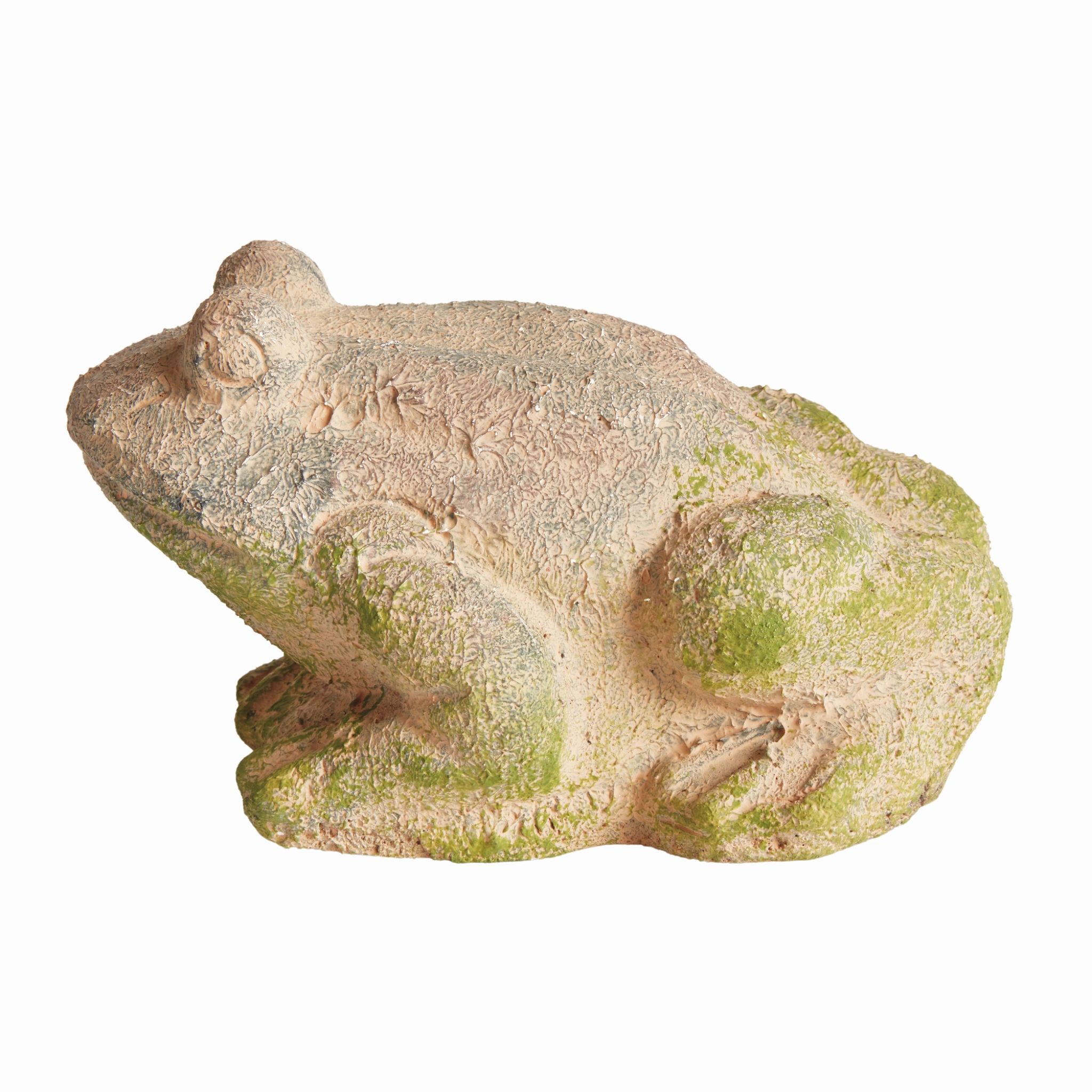Weathered Garden Frog