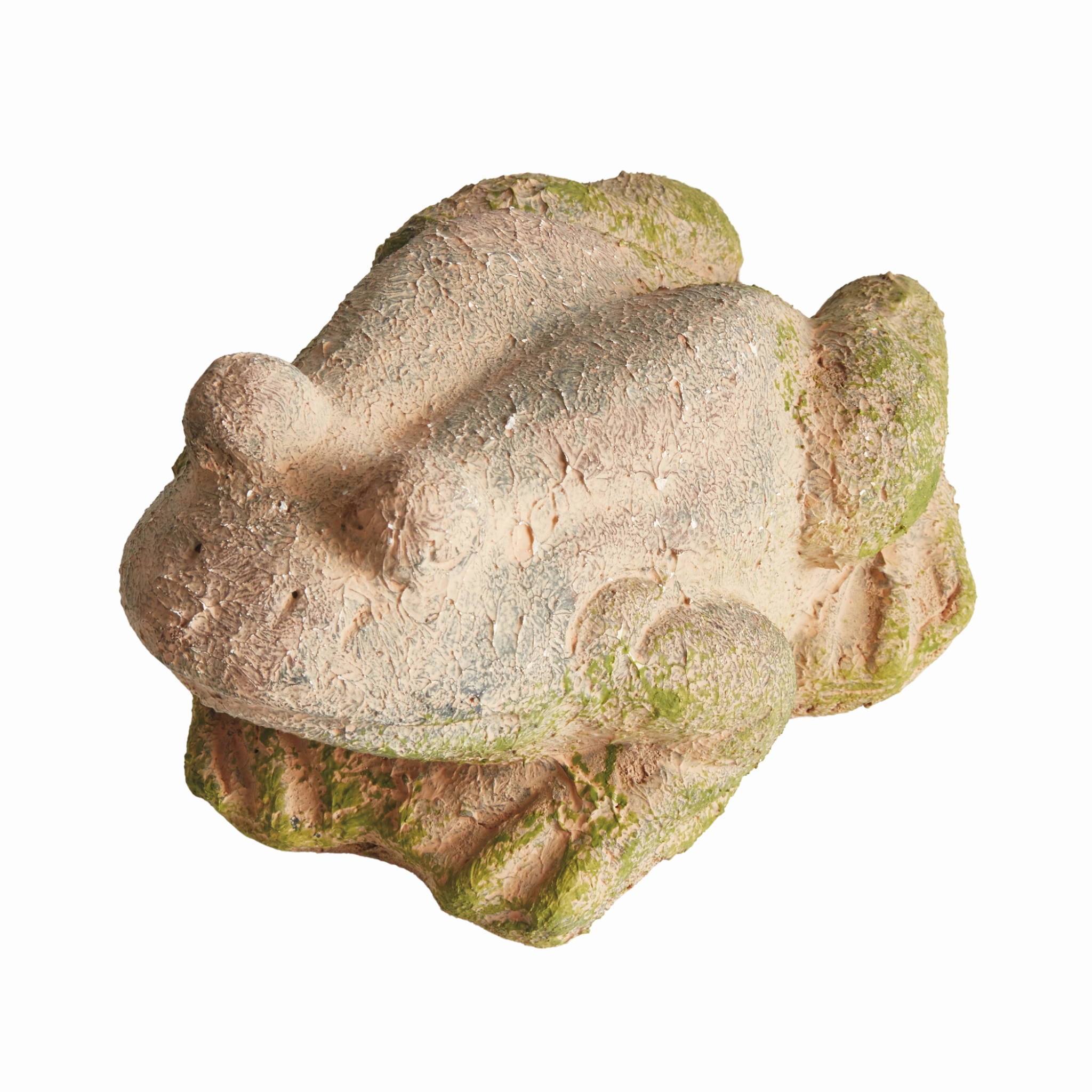 Weathered Garden Frog