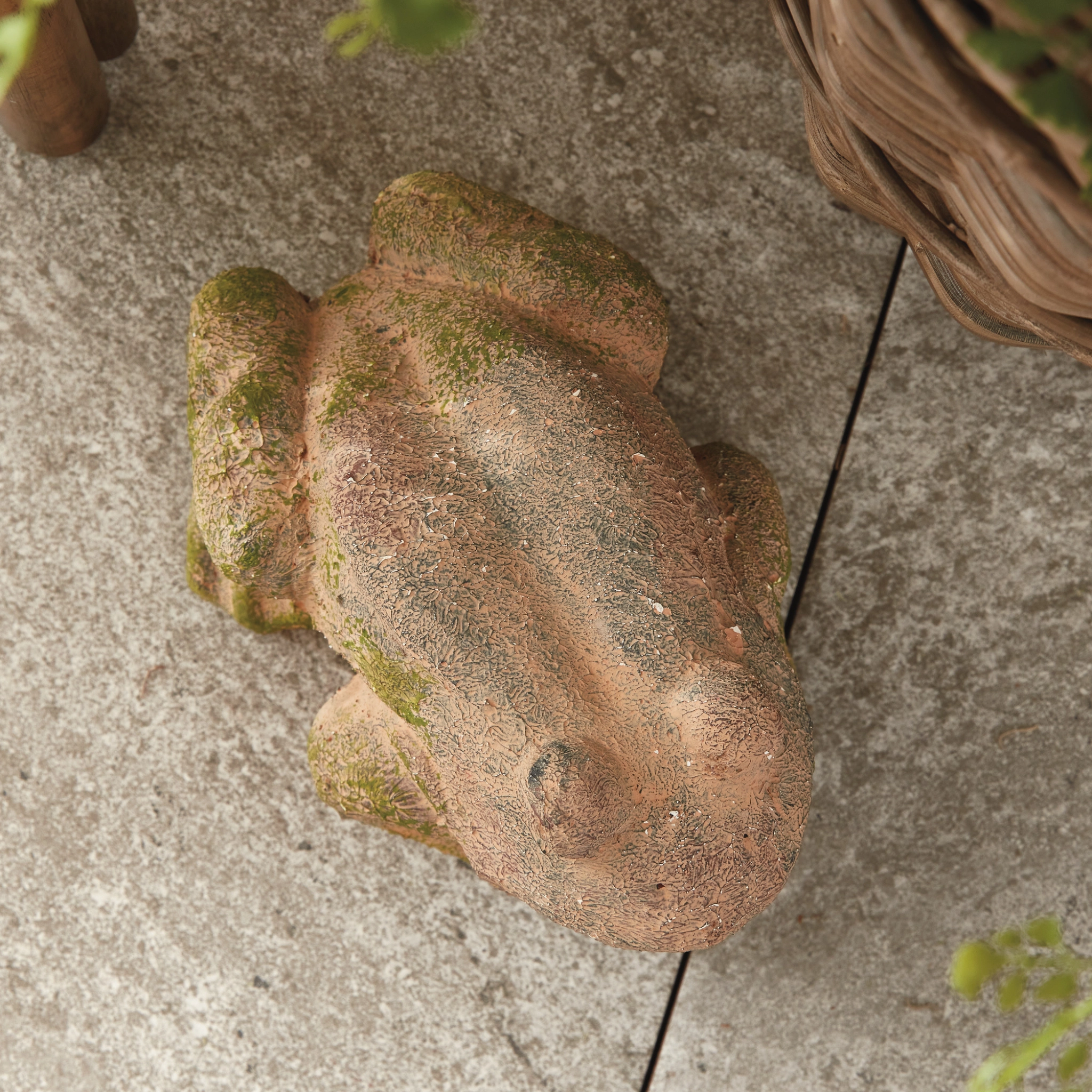 Weathered Garden Frog