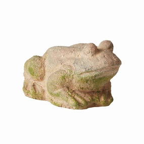 Weathered Garden Frog,planting accessories kit