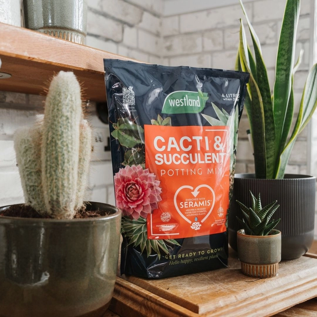 Westland Cacti & Succulent Potting Mix 4 Litres