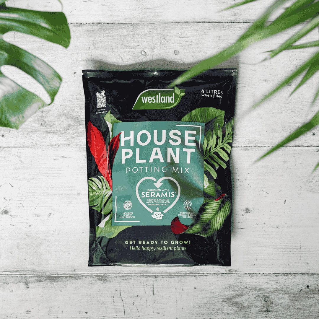 Westland Houseplant Potting Mix 4 Litres,garden compost bin