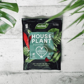 Westland Houseplant Potting Mix 4 Litres,garden compost bin