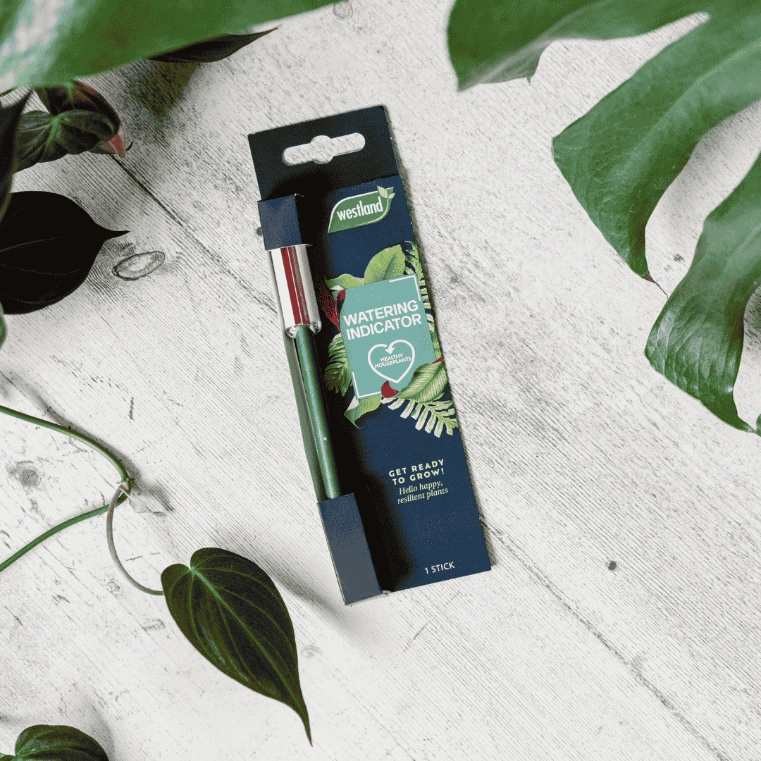 Westland Houseplant Watering Indicator,garden compost bin