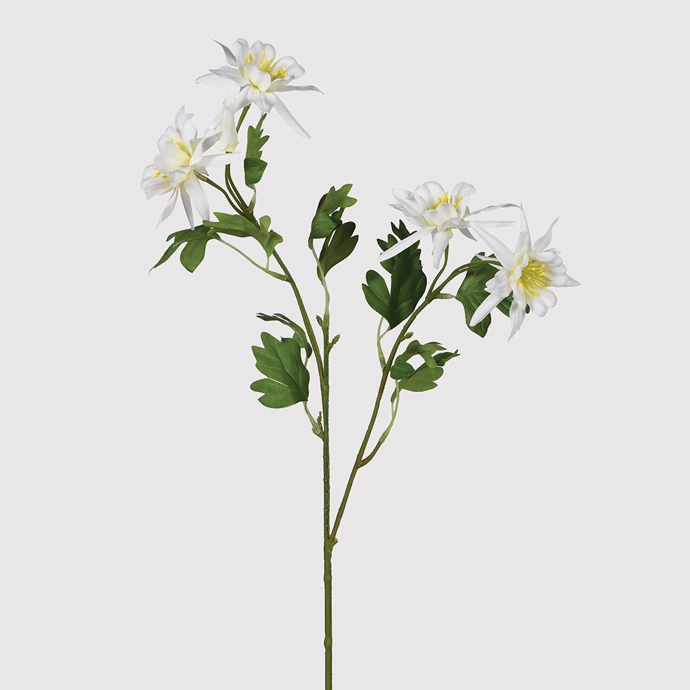 White Aquilegia Spray with Leaves 68cm
