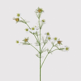 White Nigella 'Love in a Mist' Spray 80cm,dried artificial flower