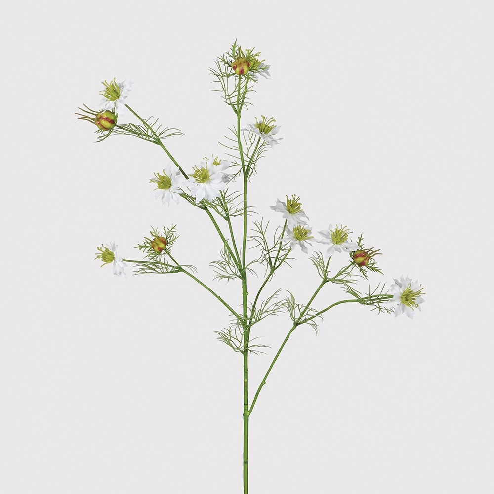 White Nigella 'Love in a Mist' Spray 80cm,dried artificial flower
