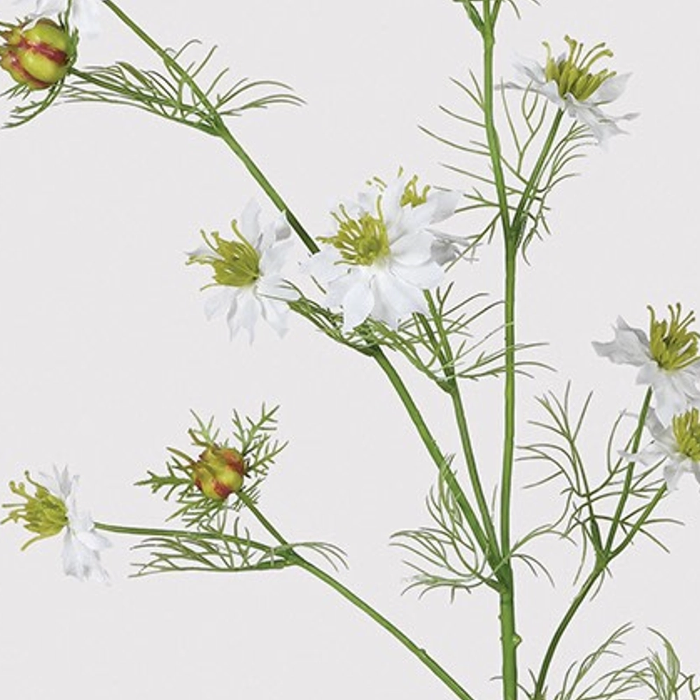 White Nigella 'Love in a Mist' Spray 80cm