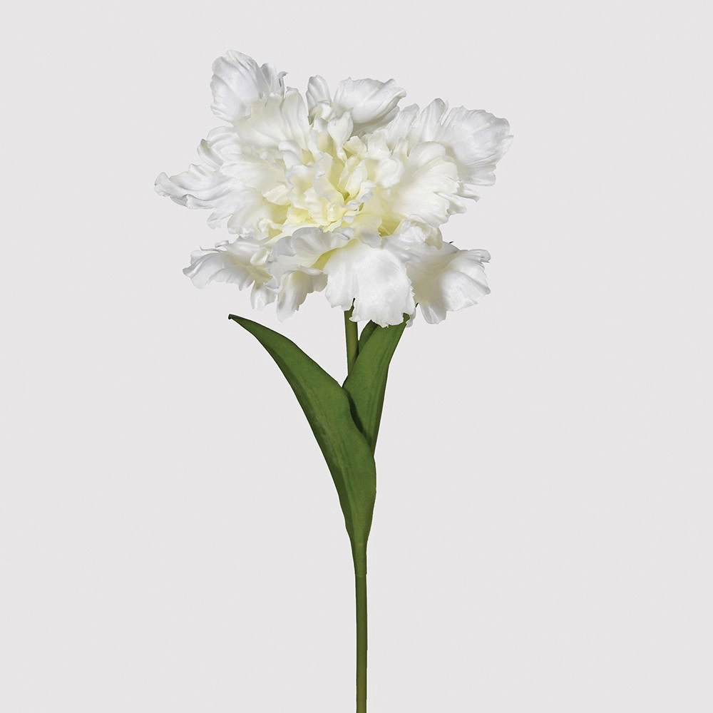 White Parrot Tulip with Leaves 45cm,dried artificial flower