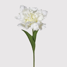 White Parrot Tulip with Leaves 45cm,dried artificial flower