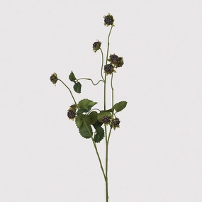 Wild Blackberry Spray with Leaves 96cm,dried artificial flower