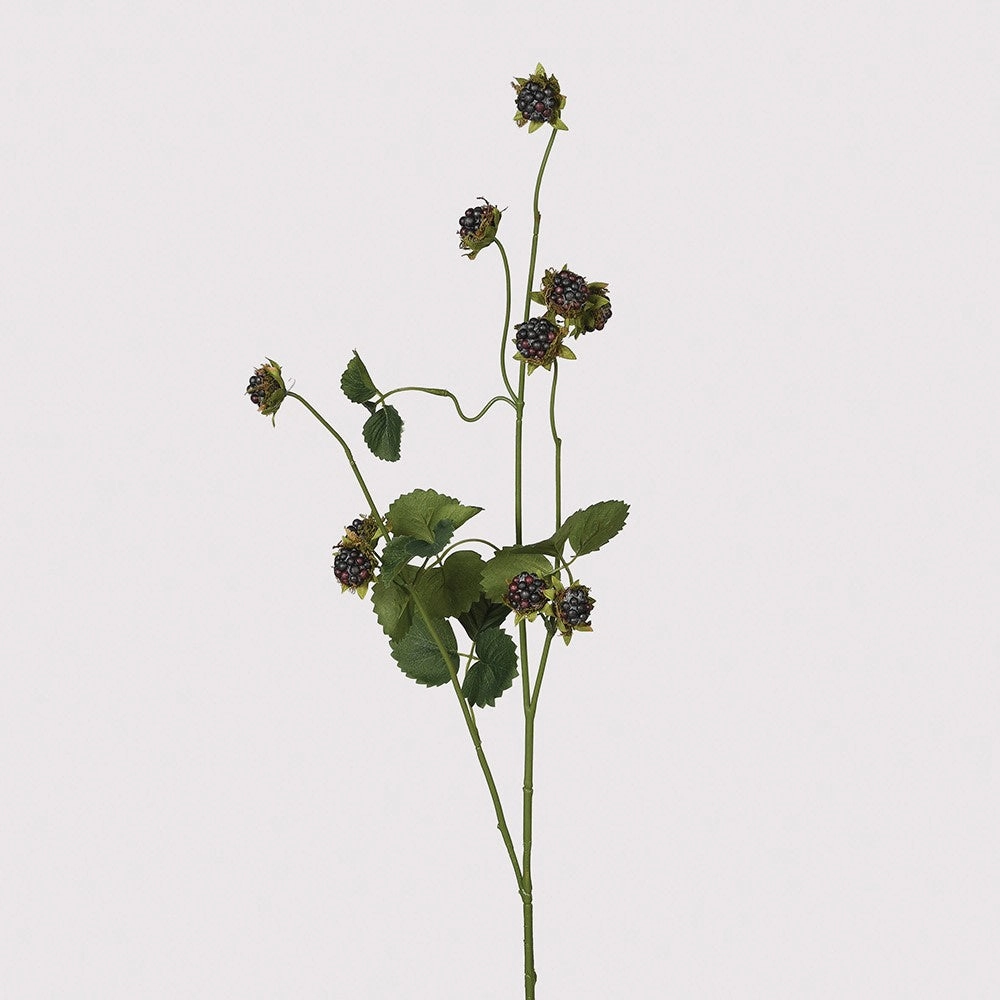 Wild Blackberry Spray with Leaves 96cm,dried artificial flower