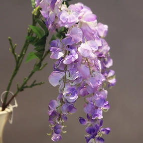 Wisteria Artificial Silk Flower Stem Purple WISTERIA002,dried artificial flower