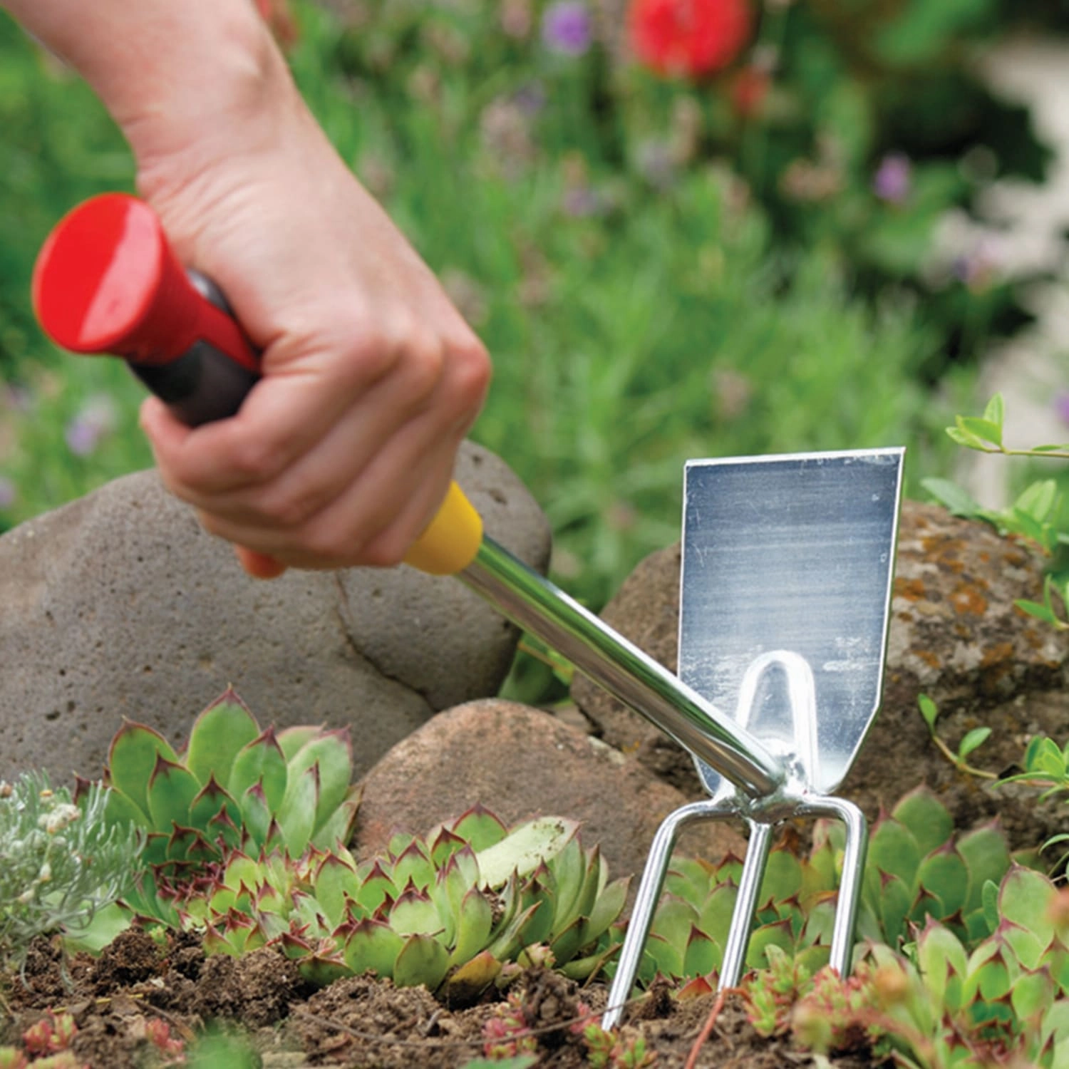 Wolf-Garten Double Hoe (LN-2K)