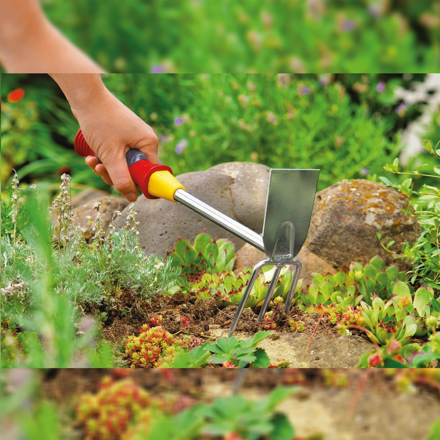 Wolf-Garten Double Hoe (LN-2K)