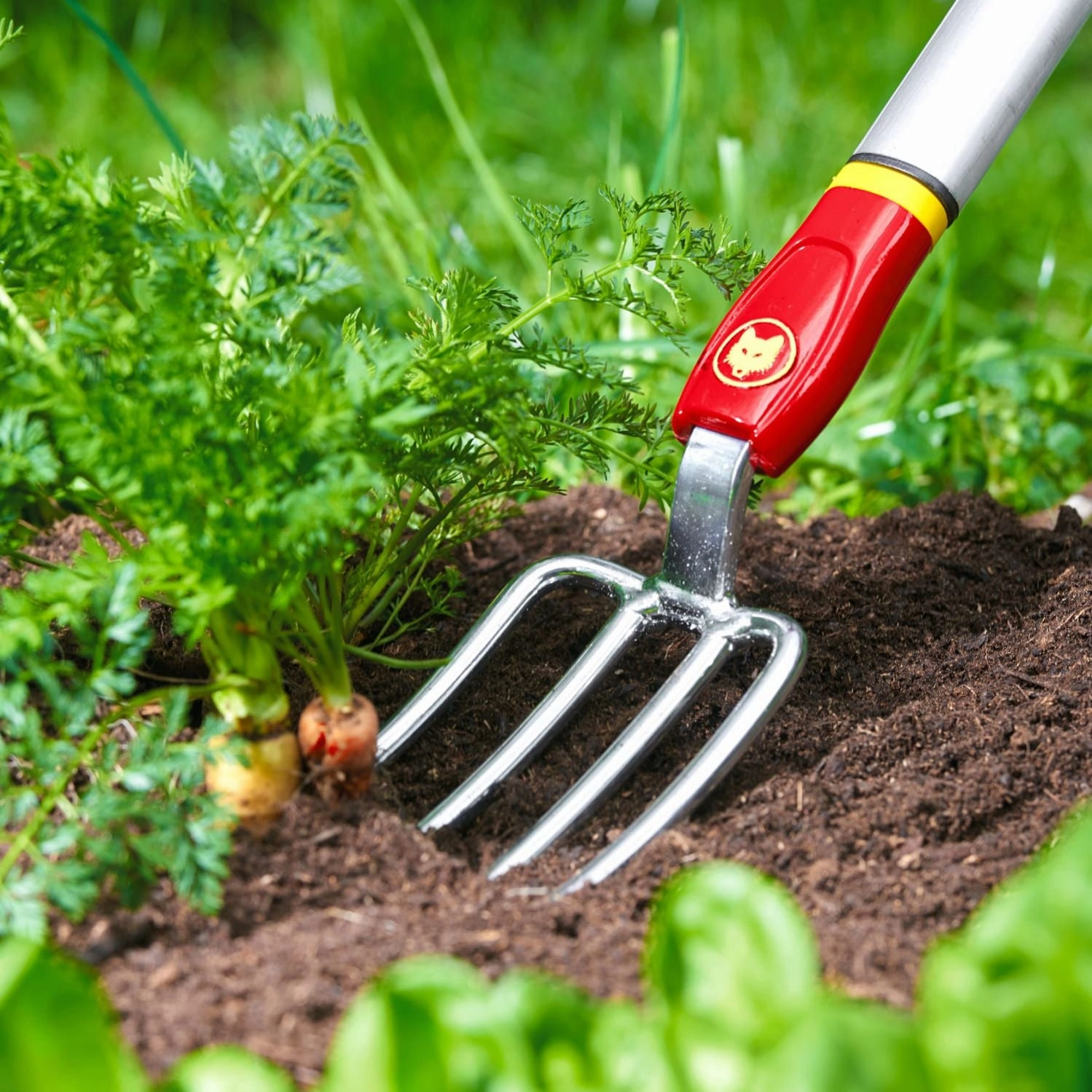 WOLF GARTEN FLOWER FORK(LU-GM)