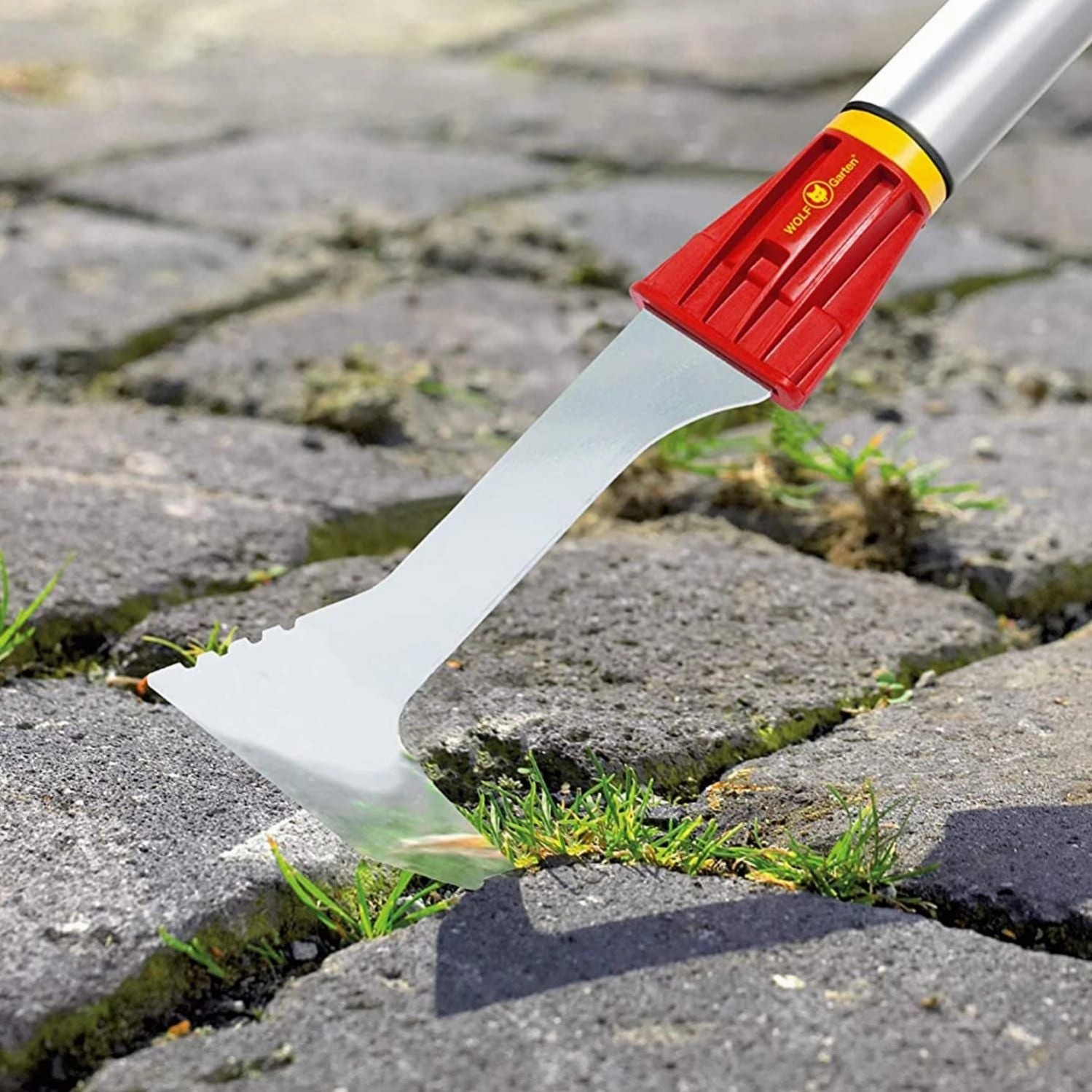 Wolf Garten Joint Scraper (FK-M)