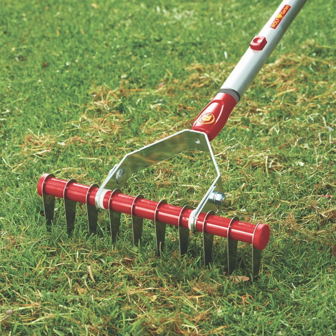 Wolf Garten Multi-Change Moss Removal Rake