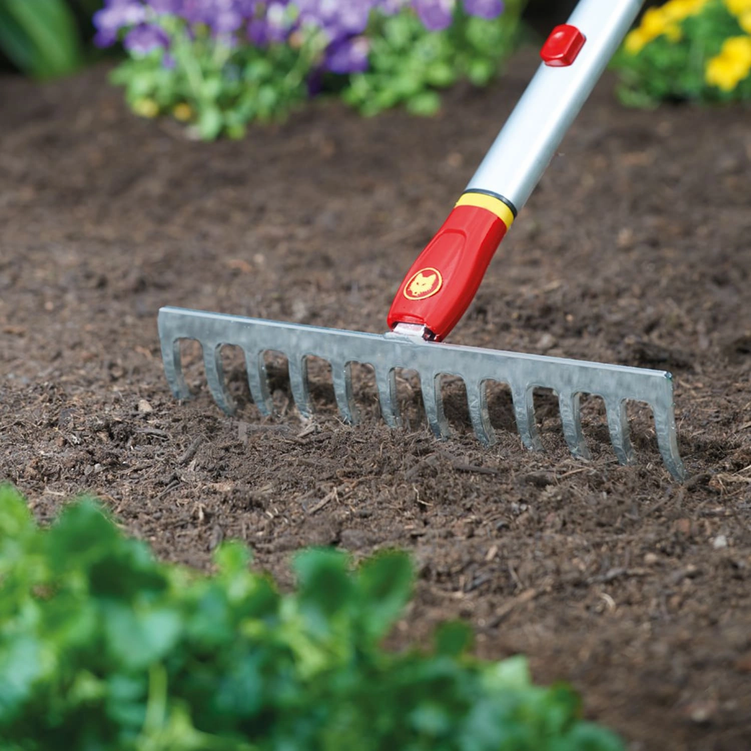 Wolf-Garten Soil Rake 30 cm (DR-M-30)