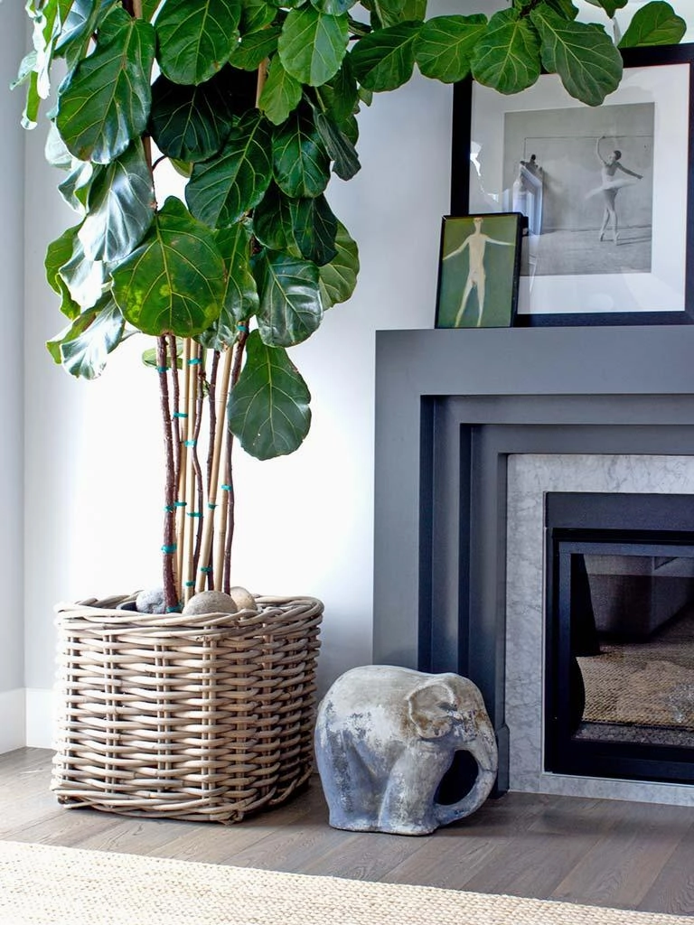 Woven Wood Medium Square Planter Basket