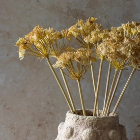 Yarrow Bunch Stem 48cm,dried artificial flower