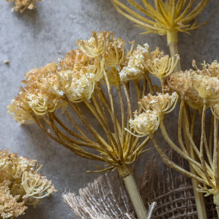 Yarrow Bunch Stem 48cm
