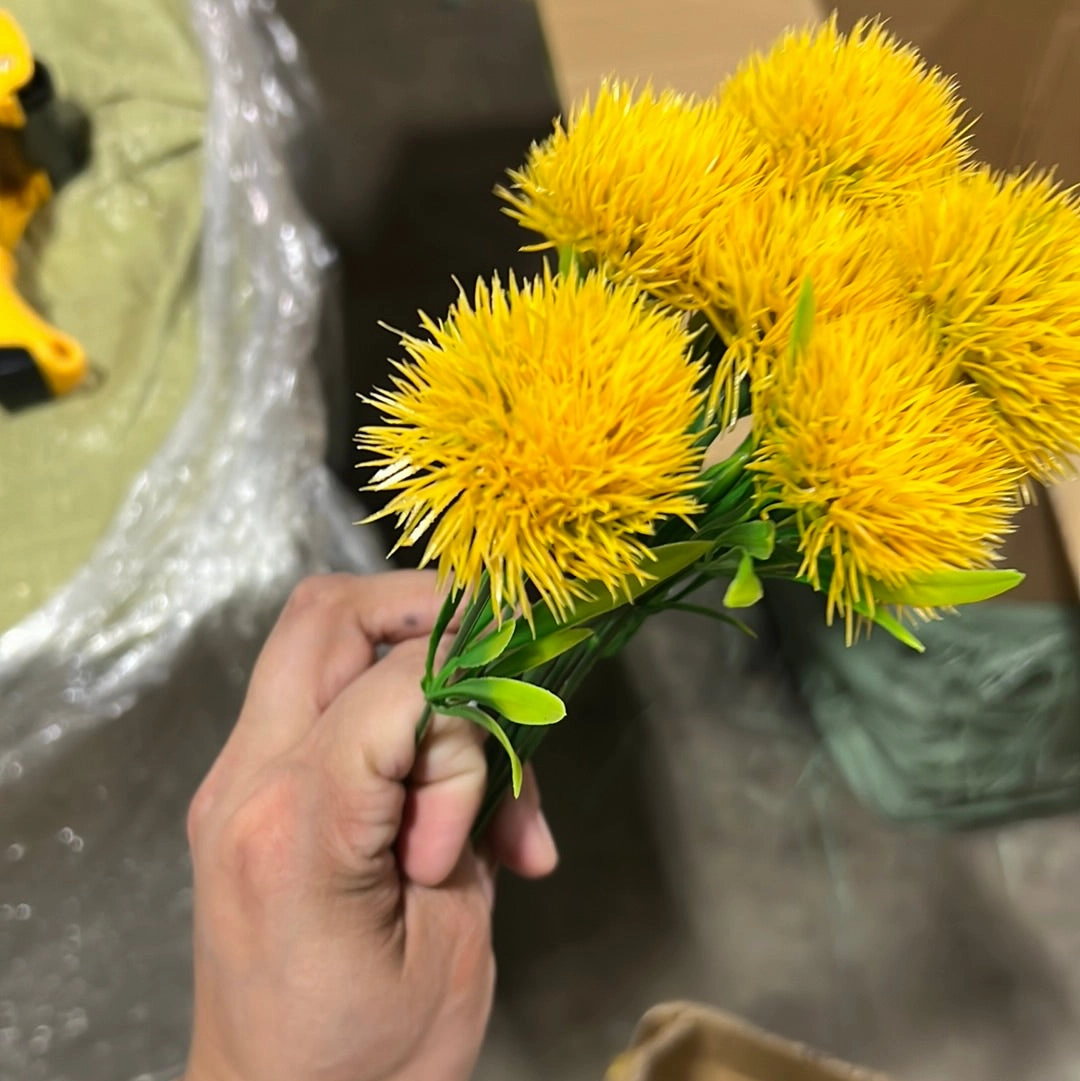 Yellow trick dianthus filler Pom (bundle of 10)